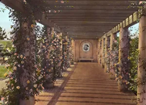 Pergola Prints: Mi Suen~o, Herbert Coppell house