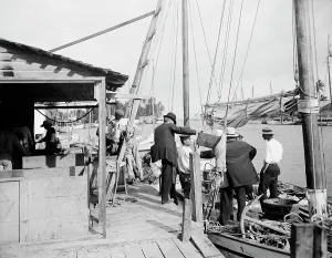 Miami, Fla. fish docks along the Miami, between 1900 and 1920. Creator: Unknown