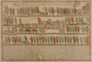 Grotesque Prints: The Mice are burying the Cat (Lubok), 1881