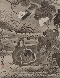 Melon Gallery: Mice in a Melon, ca. 1887. Creator: Kawanabe Kyosai