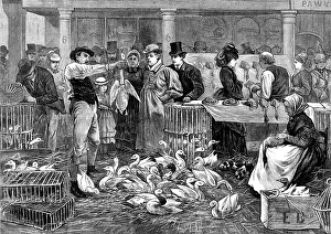 A Michaelmas Goose Fair, 1873. Creator: Joseph Swain