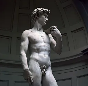 Youth Prints: Michelangelos David. Artist: Michelangelo Buonarroti