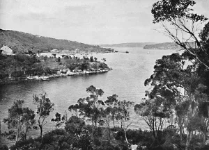 Tidal Prints: Middle Harbour, from Spit Road, c1900. Creator: Unknown