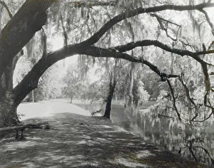 The Carolinas Prints: Middleton Place, John Julius Pringle Smith house