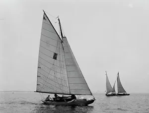 Midge, 1898 July 4. Creator: Johns Johnston