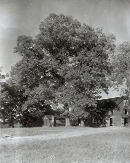 Photographic Prints Gmgpc Prints: Midlothian Pike Minor Houses, Midlothian Pike