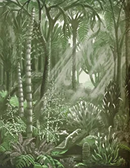 What the Mighty Coal Forests Were Like, 1935