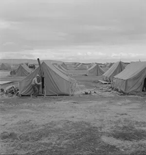 Migrating Gallery: Migrant camp, Merrill, Klamath County, Oregon, 1939. Creator: Dorothea Lange