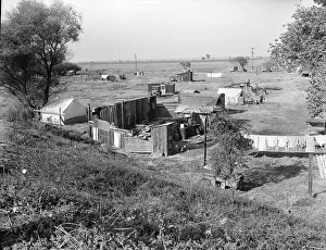 Shack Prints: Migrant camp on the outskirts of Sacramento
