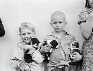 Puppies Prints: Migrant cotton picker's child