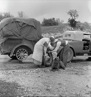Possessions Prints: Migrant pea pickers on the road, California, 1936. Creator: Dorothea Lange