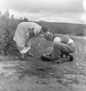 Fixing Prints: Migrant pea workers on the road with tire trouble