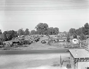 Migrant winter camp on outskirts of Sacramento, California, 1936. Creator: Dorothea Lange