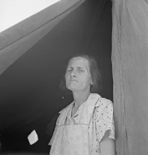 Elderly Gallery: Migrant woman from Arkansas living in contractors camp near Westley, California, 1939