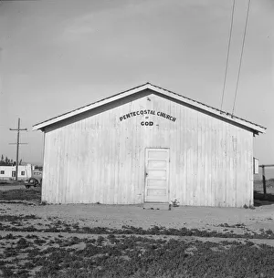 Timber Gallery: Migrants from the Southwest bring their institutions with them, Salinas Valley, California, 1939
