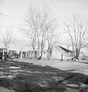 Fruit Picking Prints: Migrants winter quarters, Farmersville, Tulare County, 1939. Creator: Dorothea Lange