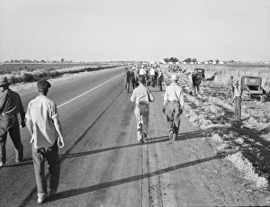 Migratory agricultural workers - cotton hoers, near Los Banos, California, 1939. Creator: Dorothea Lange