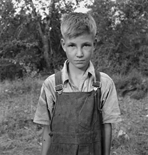 Humulus Lupulus Gallery: Migratory boy in squatter camp, Washington, Yakima Valley, 1939. Creator: Dorothea Lange