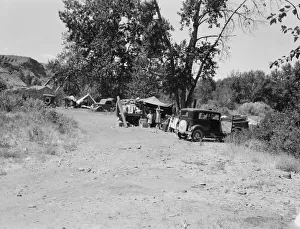 Three migratory families in Ramblers Park, Washington, Yakima Valley, 1939. Creator: Dorothea Lange