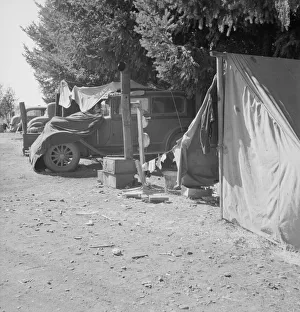 Another migratory family camp during bean harvest, near West Stayton, Marion County, Oregon, 1939 Another migratory family camp during bean harvest, near West Stayton, Marion County, Oregon, 1939