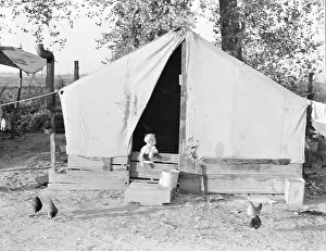 Hooverville Prints: Migratory orange picker's camp, Exeter, California, 1936. Creator: Dorothea Lange