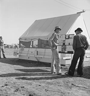 Office Gallery: Migratory workers, pea harvest, FSA migratory labor... Calipatria, Imperial County, 1939