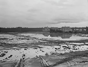 Muddy Prints: Migratory workers in winter quarters