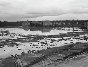 Muddy Prints: Migratory workers in winter quarters