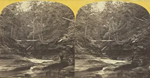 Creek Prints: Six Mile Creek, Ithaca, N. Y. View in Ravine above Green Tree Fall