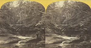 Albumen Print Stereo Collection: Six Mile Creek, Ithaca, N.Y. View in Ravine above Green Tree Fall, 1860 / 65. Creator: J. C