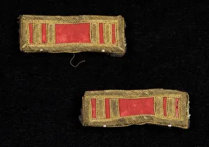 Wool Gallery: Military epaulets, American, 1864. Creator: Unknown