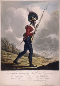 Volunteer Forces Prints: Military figure in the uniform of the eleventh regiment of the Loyal London Volunteers
