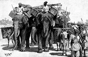 Burma Prints: The Military Police of Burmah: forming escort of baggage animals on the march