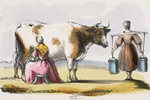 Milk, c1845. Artist: Benjamin Waterhouse Hawkins