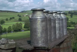 Dairy Farm Gallery: Milk cans at farm gateway