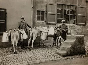 Dairy Worker Gallery: Milk Donkeys, c. 1890. Creator: Frank Meadow Sutcliffe