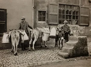 Step Prints: Milk Donkeys, c. 1890. Creator: Frank Meadow Sutcliffe