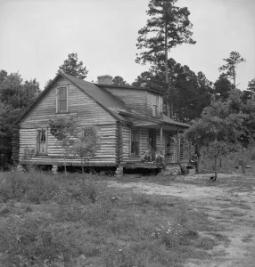 Yard Gallery: Millworkers house six miles north of Roxboro, North Carolina, Person County, North Carolina, 1939