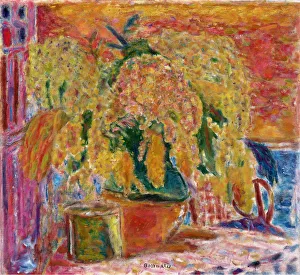 Mimosa Bouquet, ca 1945