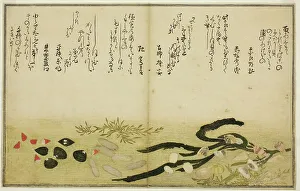 Double Page Prints: Minashi-gai, shio-gai, katatsu-gai
