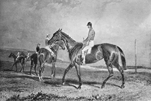 Mincepie, 19th century, (1911)