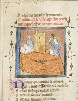 Miniature from a manuscript of the Roman de la Rose by Guillaume de Lorris Miniature from a manuscript of the Roman de la Rose by Guillaume de Lorris