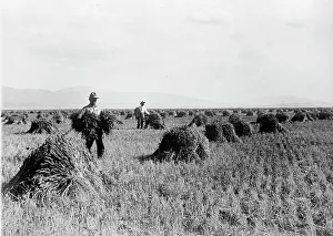 Irrigation Prints: Minidoka Project - U.S. Reclamation Bureau