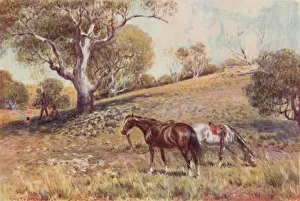 Prospecting Prints: Mining Prospectors, 1923. Creator: Unknown