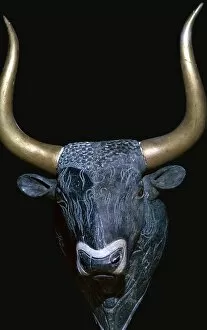 Minoan Gallery: Minoan bulls head libation vessel