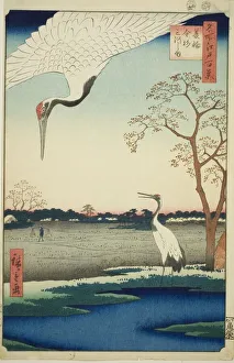 Minowa, Kanasugi, Mikawashima, from the series One Hundred Famous Views of Edo (Meisho... 1857. Creator: Ando Hiroshige. Minowa, Kanasugi, Mikawashima, from the series One Hundred Famous Views of Edo (Meisho... 1857. Creator: Ando Hiroshige)