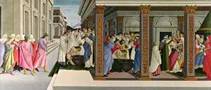 Sandro 1445 1510 Gallery: Three Miracles of Saint Zenobius, c. 1500. Artist: Botticelli, Sandro (1445-1510)