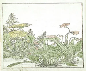 A Mirror of Competing Beauties of the Green Houses (image 20 of 20), 1776. Creators: Shunsho, Kitao Shigemasa