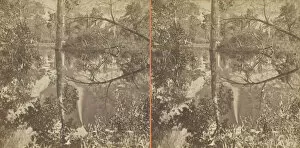 Albumen Print Stereo Collection: Mirror View, Yosemite Valley, Mariposa County, Cal. 1861 / 76