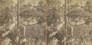 Albumen Print Stereo Collection: Mirror View, Yosemite Valley, Mariposa County, Cal. 1861 / 76